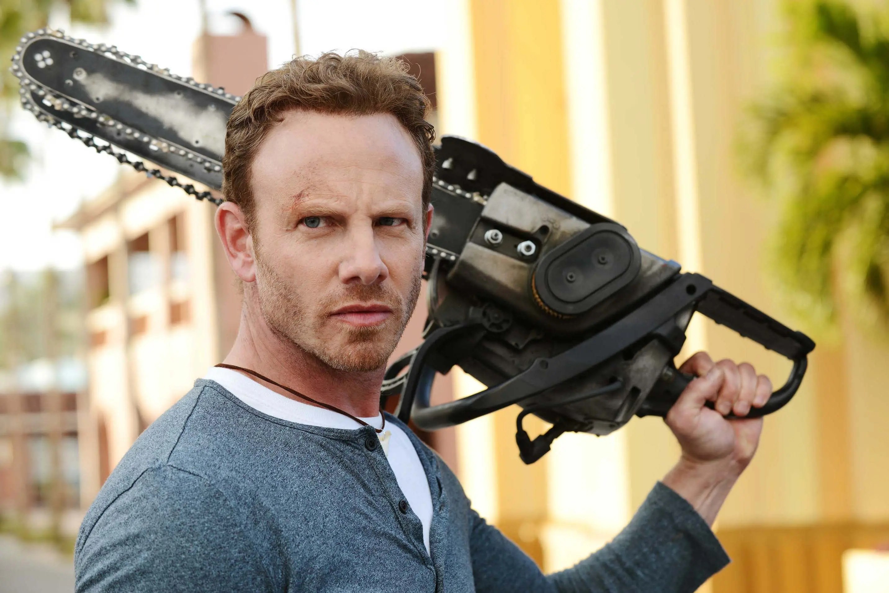 Ian Ziering
